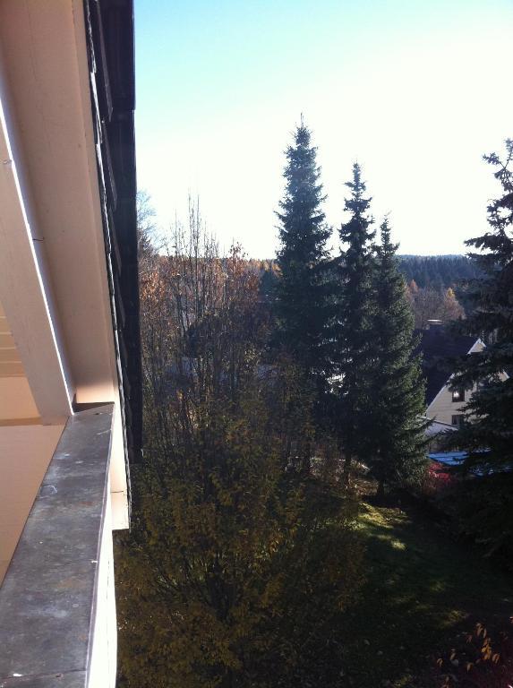 Concordia Harzapart Braunlage Exterior foto