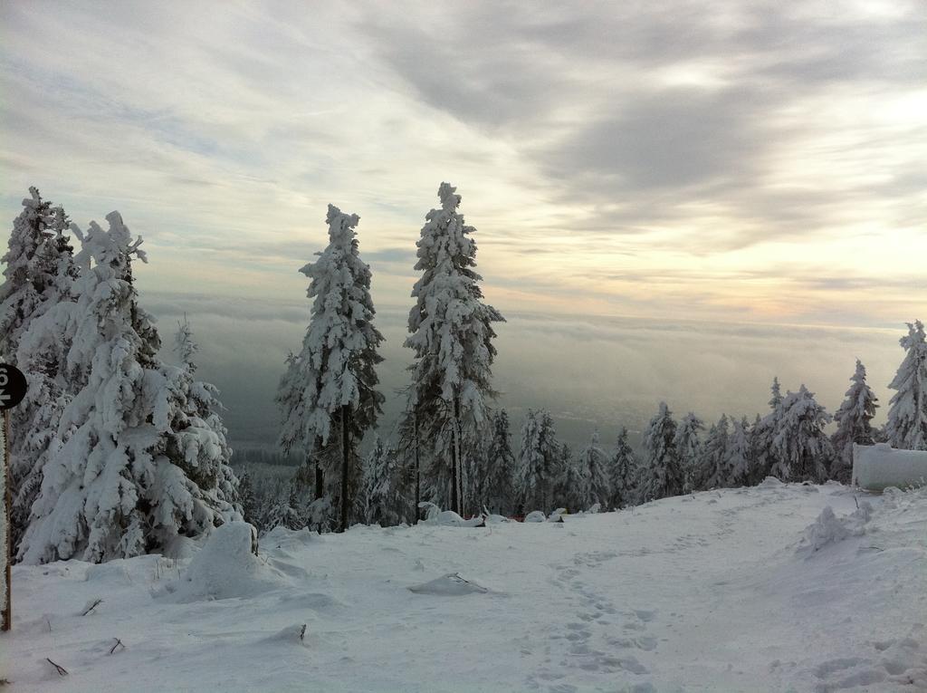 Concordia Harzapart Braunlage Exterior foto