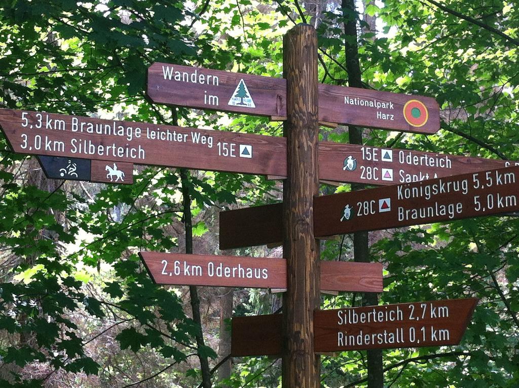 Concordia Harzapart Braunlage Exterior foto